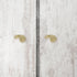 Vintage Solid Brass Nautilus Knobs - Elegant Cabinet Handles