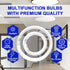 Celiwace FC8T9/CW 22W FC12T9/CW 32W Set, 8 inch T9 22 Bulbs, 12 inch 32 Bulb Bulb 80, G10q and Cool White Watts