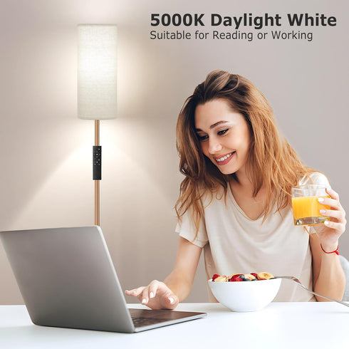 64'' Dimmable 9W Bulb Ambimall Floor Lamps for Living Room with Remote Control and Stepless Colors Temperature