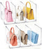 LUGUNU Acrylic Clear Purse Divider Organizer Clear Desk File Sorter Divider Mesh