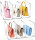 LUGUNU Acrylic Clear Purse Divider Organizer Clear Desk File Sorter Divider Mesh