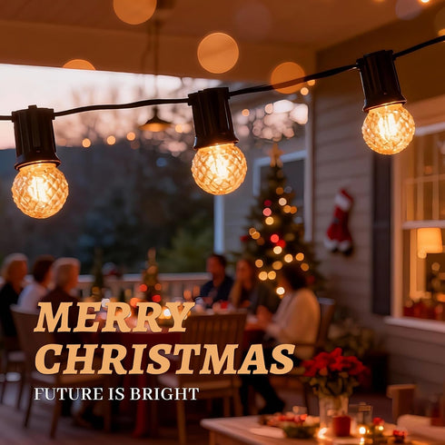 E26 Bulbs,1W Bulb,10 Bulbs 2200K Strings,Non-Dimmable,Glass,2-Pack Amber Small LED Light Small Edison Watt