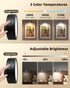 5500mAh 3 360Rotation Dimmable (2 Pack) EZVALO LED Wall Mounted Lights, Rechargeable Wall Sconces Lamp, Color Temps