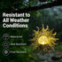 Decorations,2 Pack Hanging Solar Lights Outside Lanterns Garden Metal Sun Outdoor Art Decor for Backyard Balcony Patio