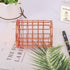 QDKVTNDJZ 2 Pack Metal Pen Potnizers Makeup Brushes Holder for Desk Office, Rose Goldr