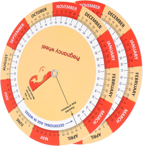 PartyKindom 2Pcs Pregnancy Wheel Fetal Development Chart Poster for Expecting Mothers Guide