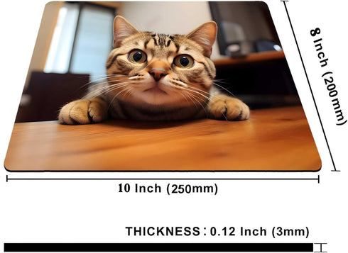 Cute Cat Square Mouse Pads, Non-Slip Rubber Base, Small Office Computer Mousepad for Desk Laptop