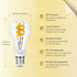 Bulb A19, Bulb, A60 Bulb Dimmable 50 450LM, 1 Pack DiCUNO Smart Edison Color Changing WiFi Smart Light Vinatge Filament