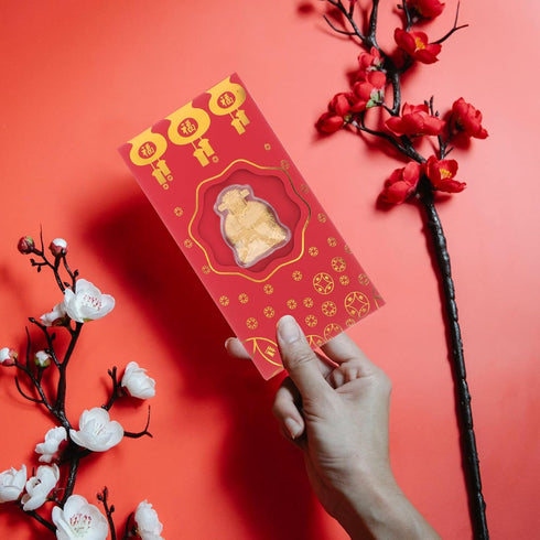 BESPORTBLE Chinese New Year Red Envelopes, Lucky Money Envelopes for Spring Festival Birthday Wedding Party, 10 Pcs