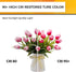 Bulbs 60 2700K Dimmable Bulbs, 90+ 6W 550LM, CA11 E12 Bulb, 12 Pack Hizashi LED Candelabra watt Equivalent Soft Warm