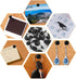 Lunies 50 PCS Black Push Pins for Wall Hangings, Decorative Thumb Tacks for Cork Board and Picture Hanging