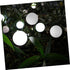 80mm MAGICLULU White Frosted Glass Globe Lamp Shade, Diameter round Ball Lampshade Replacement for Pendant and Wall