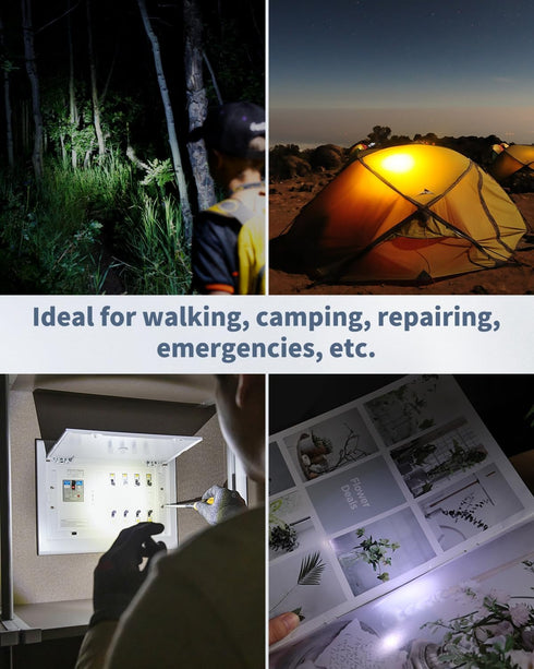 Uniclife 5 Pack LED Keychain Flashlight, Mini Light 14 Lumen for Outdoor Camping and Emergency