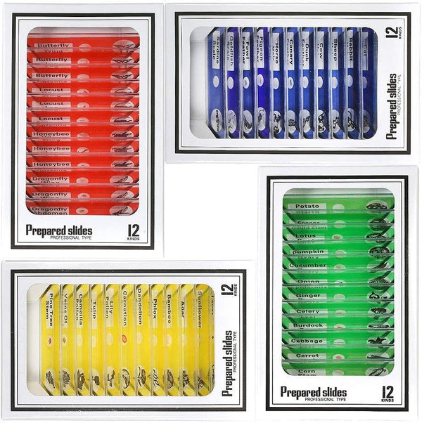 Prepared Microscope Slides for Kids, 48pcs Plastic Animals Insects Plants Flowers Sample Specimens for Homeschooling