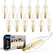 IINVGOOD 12-Pack Dimmable LED Candelabra Light Bulbs 40 Watt Equivalent, 5000K Daylight White