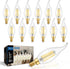 IINVGOOD 12-Pack Dimmable LED Candelabra Light Bulbs 40 Watt Equivalent, 5000K Daylight White