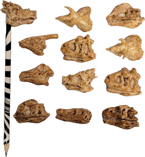 Dinosaur Heads Fossil Pencil Tops - 48 Pack Rubber Dino Toppers for Party Favors, Classroom Incentives Back to School