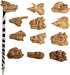 Dinosaur Heads Fossil Pencil Tops - 48 Pack Rubber Dino Toppers for Party Favors, Classroom Incentives Back to School