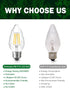 F15 6W E26 Bulb, 60 Bulb 2700K, Bulbs 4 Pack LED Equivalent Watt LED Light Soft White Vintage Edison for Front Porch