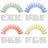 48 PCS Prepared Microscope Slides Set Insects Animals Flowers Plants Plastic Sample Specimens for Students Education
