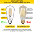 Gozelux Bulbs, 6W, 60W, Dimmable, 2700K, ST58 Bulbs 90+ E26 8 Count (Pack 1) Vintage LED Edison Equivalent Warm White
