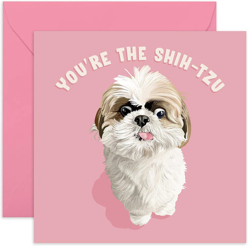 CENTRAL 23 Cute Animal Birthday Card - “You’re The Shih-Tzu” - For Men & Women - Includes Fun Stickers