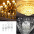 NTZTO G4 Bulb 12V 20W, 280 2700K 360 2-Pin Halogen Lumens Warm White, High CRI, Beam Angle, Base for Chandelier, Under