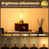T10 Bulb Dimmable Bulb E26 4W 40 Bulbs 2700K 400LM, 2 Pack LED Tubular Light Equal Watt Long Edison Light Warm White