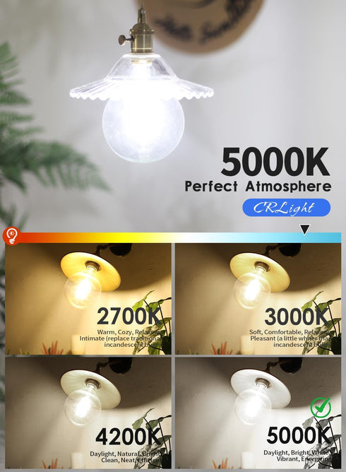 12W Dimmable Bulb 5000K G40 5 Inch 90W 900LM, E26 G125 Bulbs, Dimming CRLight LED Large Globe Daylight White Glow