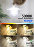 12W Dimmable Bulb 5000K G40 5 Inch 90W 900LM, E26 G125 Bulbs, Dimming CRLight LED Large Globe Daylight White Glow