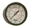 Winters 2-1/2" Dial Size Liquid Filled Industrial Pressure Gauge, Brass Internals, Dual Scale 0-160 psi/kPa