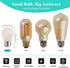 25 Bulbs E26 2700k Dimmable Bulbs G45 Cozy Frosted Watt Light Warm White Small Vintage Edison Low Watt Globe
