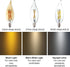 12 Pack E12 Bulb 20 2W 2700K Bulbs, CA10 C32 Bulbs Candelabra LED Watt Equivalent, Clear Soft Warm White Light Flame