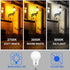 2-Pack Bulb, 60 Equivalent(6W), 800LM, 5000K, E26 Bulb Energetic Dusk to Dawn LED Outdoor Light Watt Daylight Base
