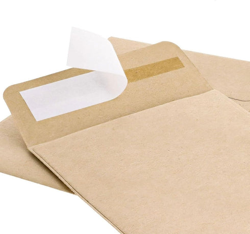 Juvale 100 Pack Small Seed Saving Envelopes, 4.5x3.25 Self Adhesive Blank Packets for Coins, Stamps, Mini Parts (Brown)