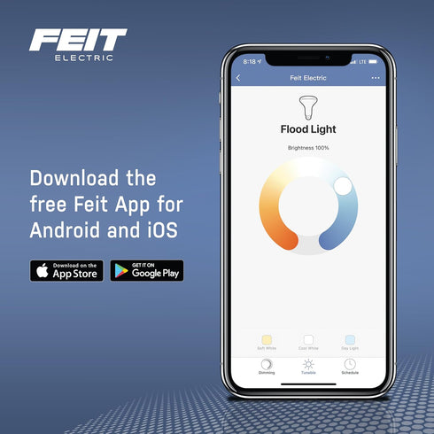 60 Bulb, Dimmable, G30 Bulb G3060/RGBW/FIL/AG Feit Electric Watt Equivalent Smart Filament Globe Spiral Filament WiFi