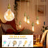 E26 11.5FT Gold Plug in Pendant Light Kit, Hanging Plug in Lights Fixture with Metal Ceramic Socket, Hanging Lights