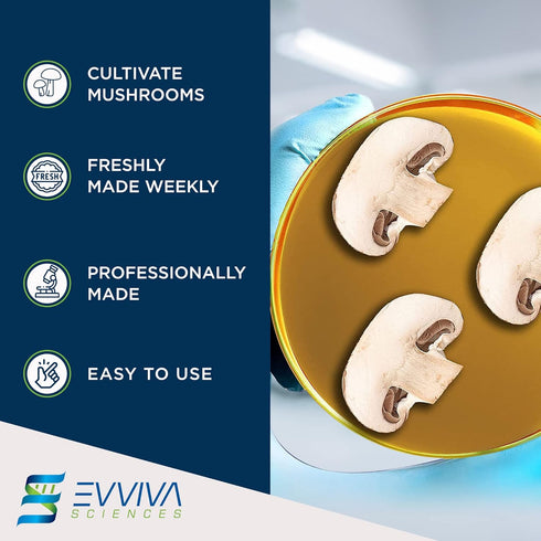 Evviva Sciences Potato Dextrose Agar Petri Dishes, Prepoured for Mushrooms, Home Test Kit, Science Fair
