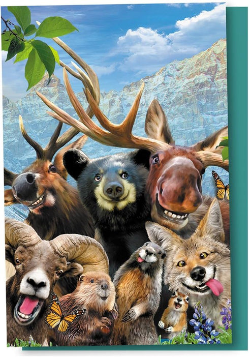 Tree-Free Greetings EcoNotes 12 Count Rocky Mountain Selfie All Occasion Notecard Set with Envelopes, 4 x 6 Inches