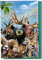 Tree-Free Greetings EcoNotes 12 Count Rocky Mountain Selfie All Occasion Notecard Set with Envelopes, 4 x 6 Inches