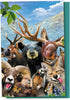Tree-Free Greetings EcoNotes 12 Count Rocky Mountain Selfie All Occasion Notecard Set with Envelopes, 4 x 6 Inches