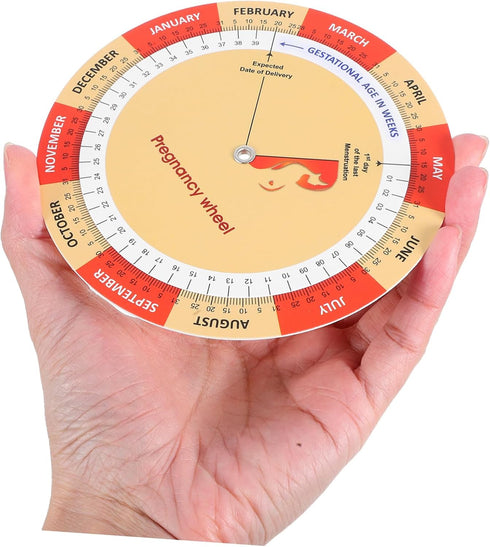 2pcs Healeved Fetal Development Tracker Chart for Expecting Mothers Comprehensive Guide for Growth Timeline