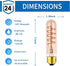 T10 LED Bulbs 40 Watt Equivalent 4W Dimmable Edison Tubular Light Bulb E26 Medium Base 2700K Warm White, T10 Vintage Amber Glass Spiral Filament LED Light Bulb, 2 Pack by Beonllay