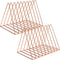 Sooyee 2 Pack Rose Gold Magazine Holder, 9 Slot Desktop File Sorter Organizer, Triangle Bookshelf Decor for Home Office