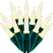 SWEET SHINE 100 Warm White One-Piece LED Christmas Lights, 33 ft Green Cord High