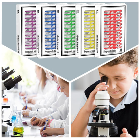 Plastic Prepared Microscope Slides for Kids, Cainda 60pcs Biological Samples of Animals, Insects, Plants, Flowers