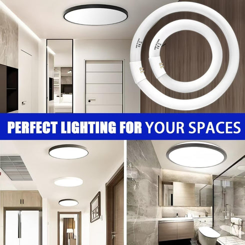 Celiwace FC8T9/CW 22W FC12T9/CW 32W Set, 8 inch T9 22 Bulbs, 12 inch 32 Bulb Bulb 80, G10q and Cool White Watts