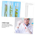 100pcs Test Tube Bottles, Clear Laboratory Test Tubes with Lids for Flower Arrangement, Floral Water Vials
