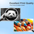 LC201 XL High Yield Ink Cartridges 5-Pack (2BK/1C/1M/1Y) Replacement for Brother Printers