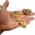 Dinosaur Heads Fossil Pencil Tops - 48 Pack Rubber Dino Toppers for Party Favors, Classroom Incentives Back to School
